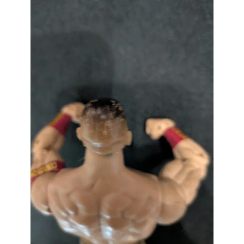 Mattel wwe fans